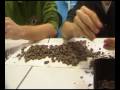 videos de afgewerktOnline
