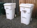 The Picture Series - Part 2: Garbage & Recycling At My Sister's School