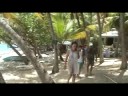 The Munroes & Friends on Palm Tree TV St John VI USVI B VI