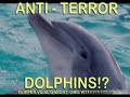 Flipper VS ALQAEDA - FOR REAL!
