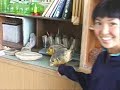 Fukushima Island JHS -- English video