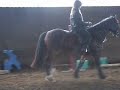 Lucy on the horse!