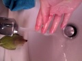 Agaporni jake dandose un ba�ito