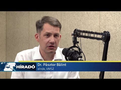 Két év múlva olyan lehet a szabadkai Városháza tetője, mint újkorában-cover