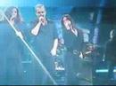 Bosé Como un Lobo Viña 2008