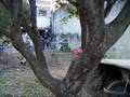 demo filme anarco trails