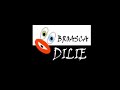 Broasca-Dilie-Dan-Ne