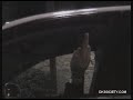 Taco Bell Pranks Taco Bell Pranks