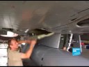 On watch in the Paris skies On watch in the Paris skies
