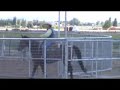 Cowhorses Inc, NRHA, Reining, Pat McCarty