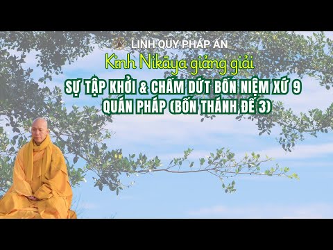 NIKAYA Giảng Giải - Sự Tập Khởi & Chấm Dứt Bốn Niệm Xứ 9 - Quán Pháp ( Bốn Thánh Đế 3 )
