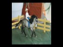 CADUTE DA CAVALLO