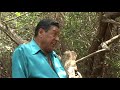 grupo caribe
la tromba de los arenales
posted by: cesar flores