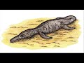 Cryptid Tribute