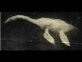 Cryptid Tribute