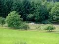 Rally WM Trier Aug. 2008
