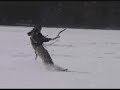 Snow Kite Boarding - 02-05