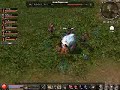 Metin2-Metin Hunters on Tour