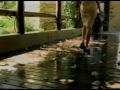 binomio de oro-olvidala (markes)
