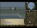 The Perfect Scene - The Guthix Gathering