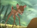 Bambi 2; Hero (Spiderman) Musikvideo Bambi 2; Hero (Spiderman) Musikvideo