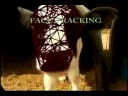 3D matchmove & 3Dtracking
