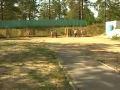 Посмотреть видео