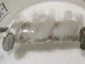 \"HHO\"se Clamp Double-Helix \"HHO\"se Clamp Double-Helix