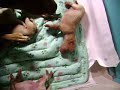 kuki new bebi III