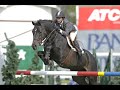 aos cavalos: obrigada!