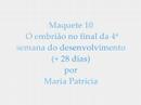 Embriologia - P�lo Tabira