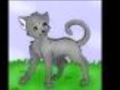 Warrior Couples.wmv