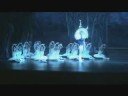 Anette Delgado - Swan Lake - Second Act Finale