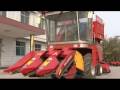 Shandong Dafeng Machinery Co,Ltd B