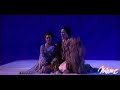 madame butterfly