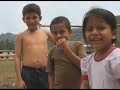 Casa Hogar Amazonas 2/2
