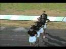 Male Poms