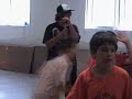 Camp Tzivos Hashem Vs. Camp Gan Israel Camp Tzivos Hashem Vs. Camp Gan Israel