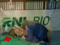 YouTube - Next Best Thing? Clone of Man's Best Friend