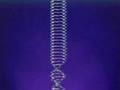 Nucleic Acids - DNA / ADN