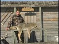 Ongaro Outdoors _ Coyote Hunting in Alberta 2