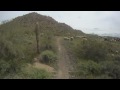 Cholla Cactus Garden Trail! - Named this trail myself, as you can see, Cholla Cactus Galore!!