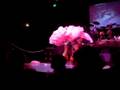 Zoe Ellis Dances @ The DNA Lounge
