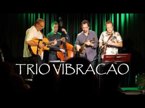 Trio Vibracao feat. Mike Marshall