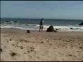 Salchicha video