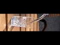 Casio Exilim F1 slow motion - woda w zwolnionym tempie