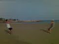 paion