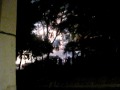 Ver Video