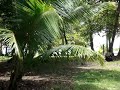 Palo Seco Beach, Property Id [3]