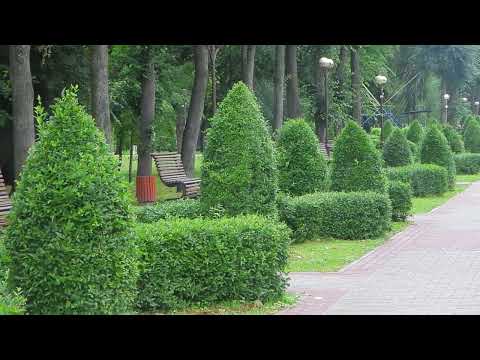 Барановичи день за днем. 24.06.24.